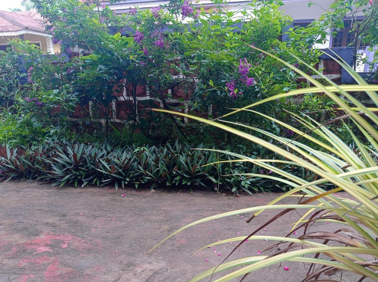 קייבלוסים Lobo'S Guesthouse מראה חיצוני תמונה